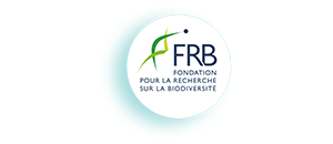 FRB